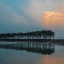 부엉이민박 이미지