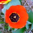 서산중앙병원 이미지