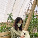 소나무카페(소나무관광농원) 이미지