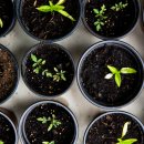 에어로빅(취미) 이미지