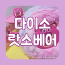 Pet113고8180 | 다이소 랏소베어 신상 시리즈 패딩백 실물 파우치 보관통 실사용 후기