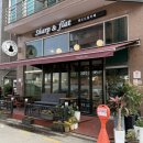 쿠키라인 좋은나들가게 | [경기 시흥] 오이도 감성 핸드드립 카페, 조용해서 더 좋은 샵앤플랫 후기 ☕🌿