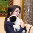 다 이미지