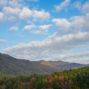 노루목 68 이미지