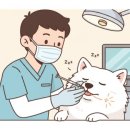 장승준동물치과병원 이미지