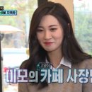 미모고양이 이미지