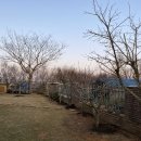 시종면사무소 이미지