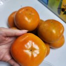 아름1농장 이미지