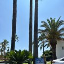 스테이체리 이미지