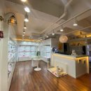 베리독 강아지고양이 평택본점 이미지