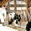 용화목장 이미지