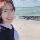 제주써니 이미지