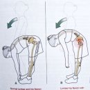 고릴라멀티짐 이미지