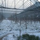 절골농장 이미지