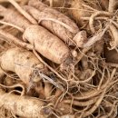 고창  건강원 이미지