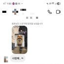 2025마지막날부터 2026 일주일