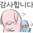 보태니컬 패브릭아트 이미지