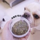 우월한 탄산 | 프리미엄 강아지화식 우월한탄산 한반도 바른 한그릇