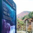 향기를담다 네이버블로그
