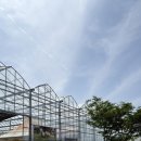 대장산농장 | 두드림농장 | 포항 아이랑 가볼만한 곳, 포항 동물 체험, 토끼 먹이주기, 포항 미니 동물원