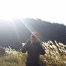 용현목장 이미지