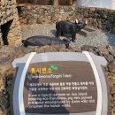 장안로 | [수원] 장안구 이색 박물관 방문기 | 아이랑 가기 좋은 해우재 박물관 관람 후기