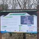 구)탐라대교차로 이미지