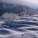 금요등산소식.다음모임천안 이미지