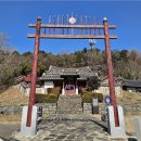 추총벌떼식당