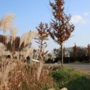 장암진성 이미지