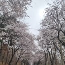 은혜푸드 이미지