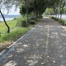 영산강자전거도로R | 🚴‍♀️ 나주 영산강 자전거길 라이딩 후기