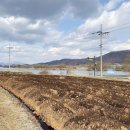 도담농장 이미지