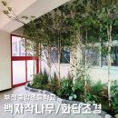부천중앙초등학교 이미지