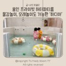 하디아플라워 | 에그녹입고 다녀온 용인 프라이빗 워터룸 ‘하디아’ 물감놀이 모래놀이 바비큐도 가능한 곳
