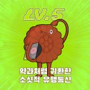 일상_갤러리 속 주제 없는 사진들 털기
