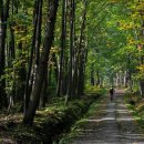 잣향기 자전거길 이미지