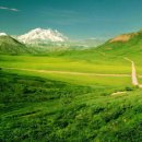 봄꽃에내린단비 이미지