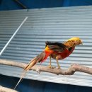 금계로1 이미지