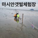 온누리어린이집(구. 바다) | 아기랑가볼만한곳 아기랑뚜벅이여행 영종도마시안겟벌체험 마시안스테이1박