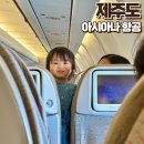 인문학과 함께하는 비즈니스 트립 | 아시아나 제주도 A330-300 좌석 OZ8913 이코노미 비즈니스 유아동반 탑승 후기
