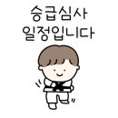 스카이 태권도 이미지