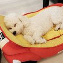 멍언니 쌀롱 이미지