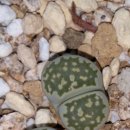 엄마와아들 이미지