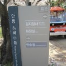 꽃잎마을 이미지