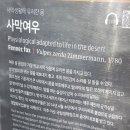 여우들의휴식