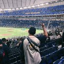 금강산회관 | [도쿄여행#2] 도쿄돔 한일전 야구 WBC평가전 직관후기 (feat. 도쿄돔호텔, 아키하바라 라디오회관)