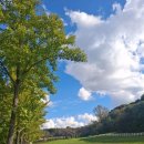 원흥목장 이미지