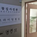 브라이덜꽃길 이미지