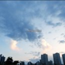 (주)모코코 이미지